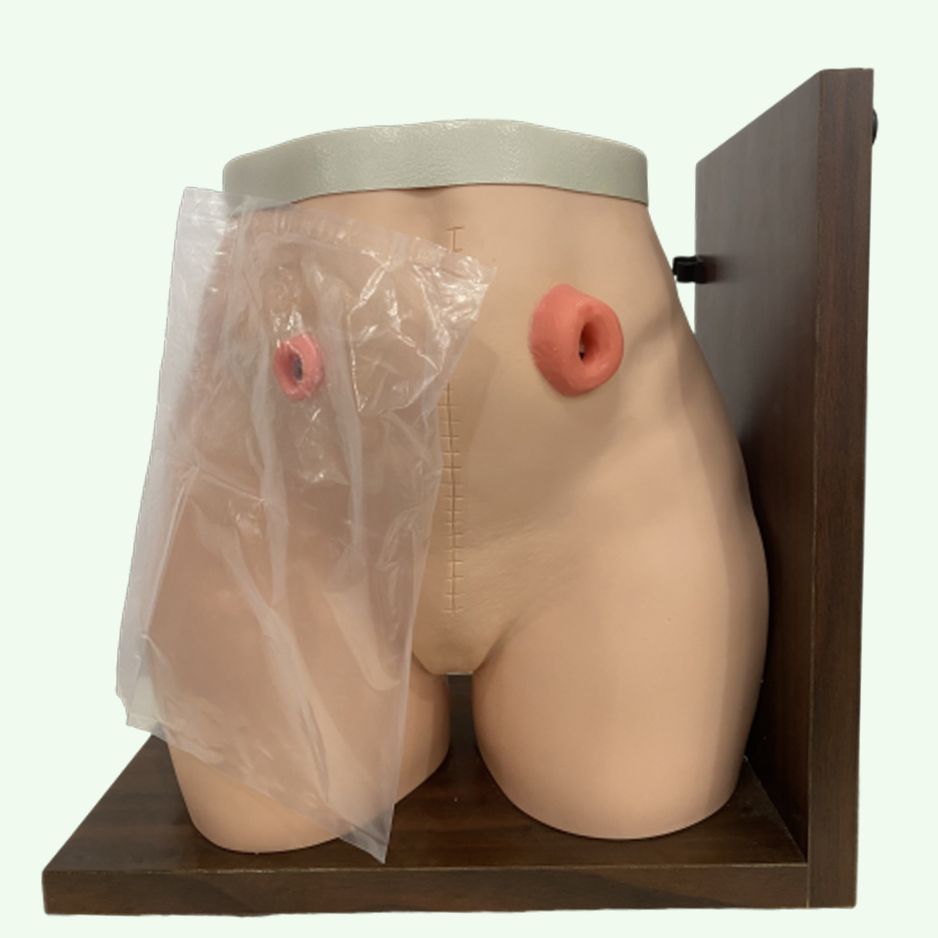 Model Kolostomi Image